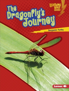 The Dragonfly's Journey, Tunby, Benjamin