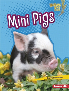 Mini Pigs, Silverman, Buffy