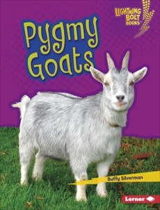 Pygmy Goats, Silverman, Buffy