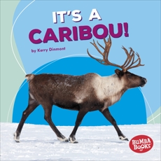 It's a Caribou!, Dinmont, Kerry