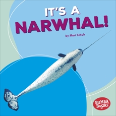 It's a Narwhal!, Schuh, Mari