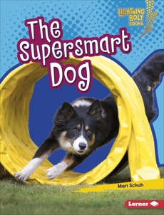 The Supersmart Dog, Schuh, Mari