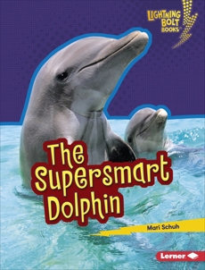 The Supersmart Dolphin, Schuh, Mari