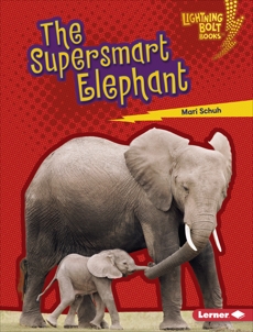 The Supersmart Elephant, Schuh, Mari