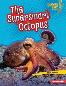 The Supersmart Octopus, Schuh, Mari