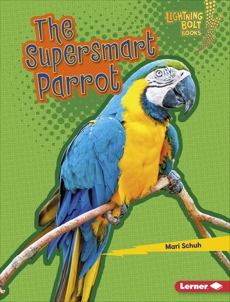 The Supersmart Parrot, Schuh, Mari