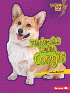 Pembroke Welsh Corgis, Ransom, Candice