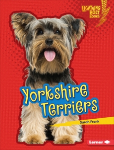 Yorkshire Terriers, Frank, Sarah