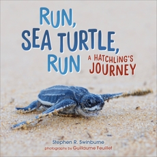 Run, Sea Turtle, Run: A Hatchling's Journey, Swinburne, Stephen R.