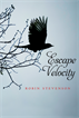 Escape Velocity, Stevenson, Robin