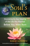 Your Soul's Plan: Discovering the Real Meaning of the Life You Planned Before You Were Born, Schwartz, Robert