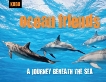 Ocean Friends: A Journey Beneath the Sea, 