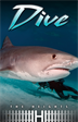 Dive, Saddleback Educational Publishing