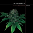 The Cannabible, King, Jason