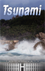 Tsunami, Saddleback Educational Publishing