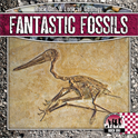 Fantastic Fossils, Petersen, Christine