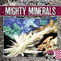 Mighty Minerals, Petersen, Christine