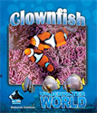 Clownfish, Coldiron, Deborah