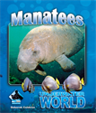 Manatees, Coldiron, Deborah