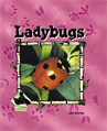 Ladybugs, Murray, Julie