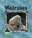 Walruses, Murray, Julie