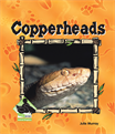 Copperheads, Murray, Julie