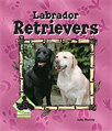 Labrador Retrievers, Murray, Julie