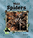 Wolf Spiders, Murray, Julie