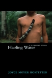 Healing Water, Hostetter, Joyce Moyer