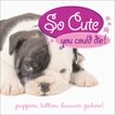 So Cute You Could Die!: Puppies, Kittens, Bunnies Galore!, Summers, Jennie