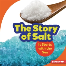 The Story of Salt: It Starts with the Sea, Owings, Lisa