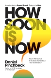 How Soon is Now: From Personal Initiation to Global Transformation, Pinchbeck, Daniel