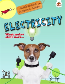 Electricity: What Makes Stuff Work?, Kington, Emily