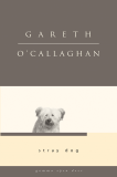 Stray Dog, O'Callaghan & Gareth