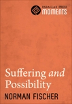 Suffering and Possibility, Fischer, Norman