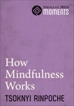 How Mindfulness Works, Rinpoche, Tsoknyi