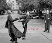 A Way of Life: Zen Monastics at Work and at Play, 