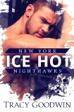 Ice Hot: A New York Nighthawks Novel, Goodwin, Tracy