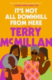 It's Not All Downhill From Here: A Novel, McMillan, Terry