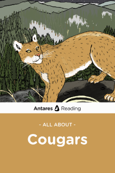 All About Cougars, Antares