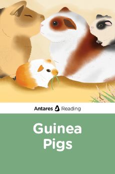 Guinea Pigs, Antares Reading