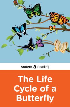 The Life Cycle of a Butterfly, Antares Reading