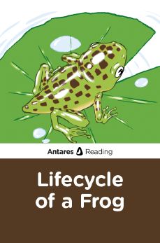 Lifecycle of a Frog, Antares Reading