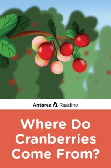 Where Do Cranberries Come From?, Antares Reading