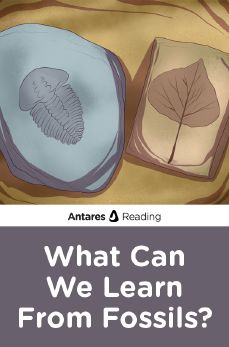 What Can We Learn From Fossils?, Antares Reading