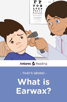 That's Gross!: What is Earwax?, Antares Reading