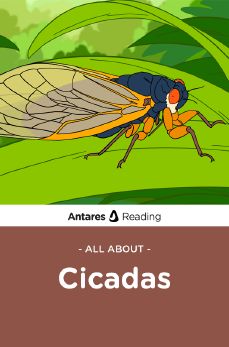 All About Cicadas, Antares Reading