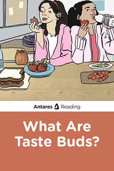 What Are Taste Buds?, Antares Reading