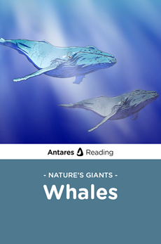 Nature's Giants: Whales, Antares Reading