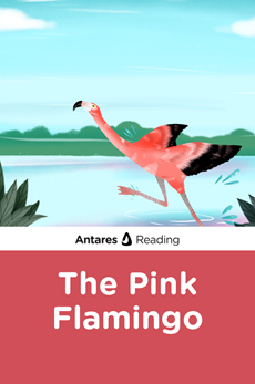 The Pink Flamingo, Antares Reading